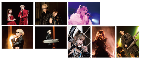 GARNiDELiA stellacage tour 2025 [PROGRESS] ランダムブロマイド